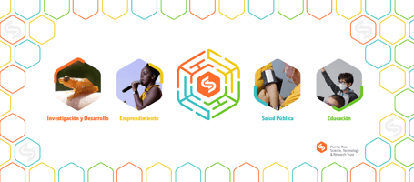 Banner con Pilares del Trust